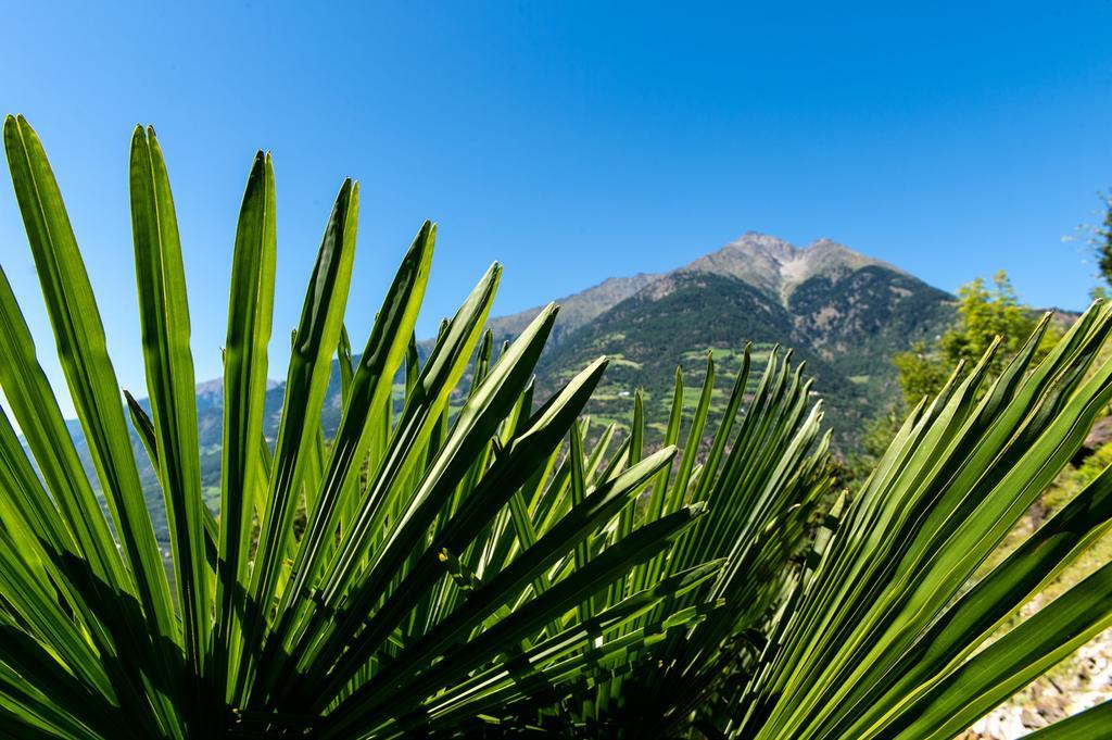 Biohof Niedereben Rablà Exterior foto