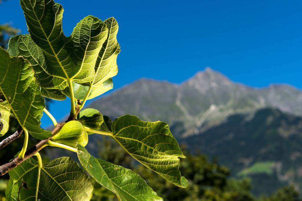 Biohof Niedereben Rablà Exterior foto